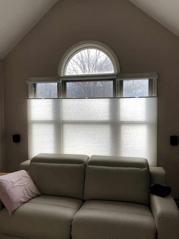 Graber Cordless Cell Shades with Top-Down/Bottom-Up in Emerson NJ