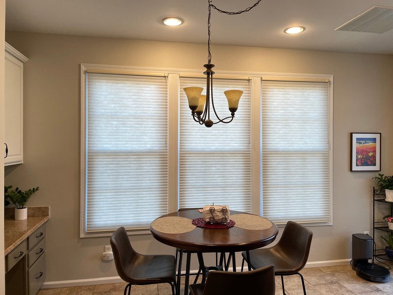 Hunter Douglas 3/4-Inch Semi-Opaque Cellular Shades in Wayne, NJ