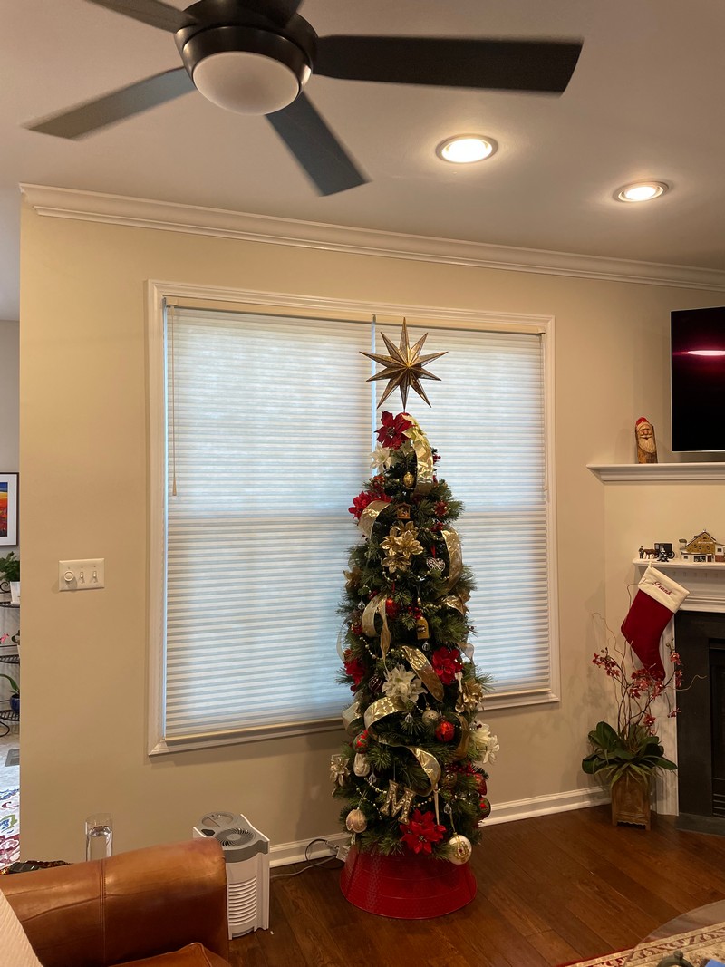 Hunter Douglas 3/4-Inch Semi-Opaque Cellular Shades in Wayne, NJ