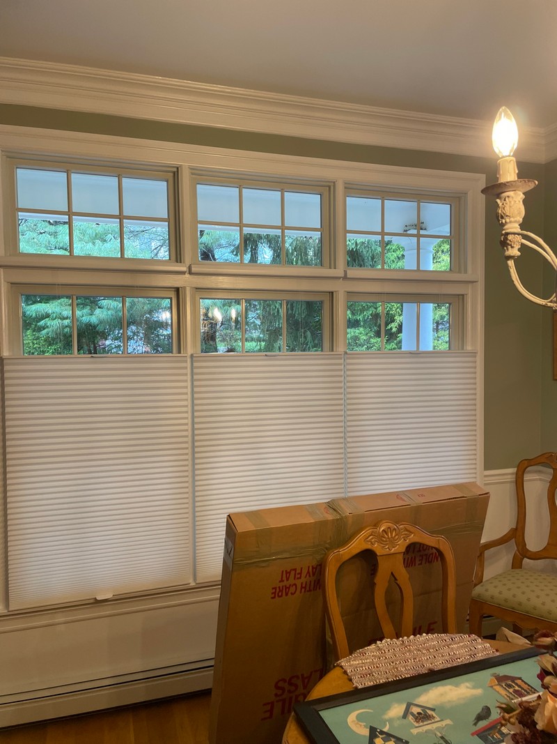 Hunter Douglas Cordless 3/4-Inch Pleat Cellular Shades in Wyckoff, NJ