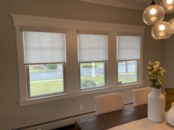 Hunter Douglas Cordless Lite-Rise Roller Shades in Glen Rock NJ