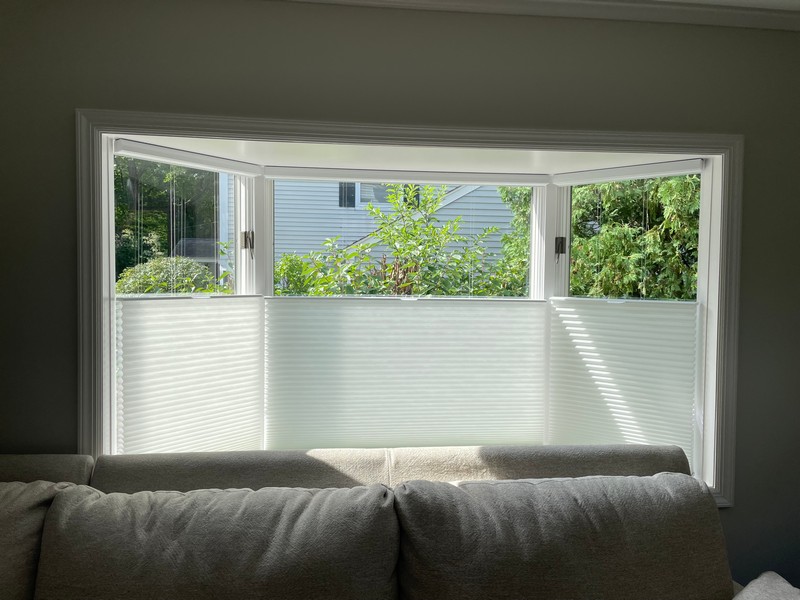 Hunter Douglas Cordless Top Down/Bottom Up Cellular Shades in Tenafly, NJ