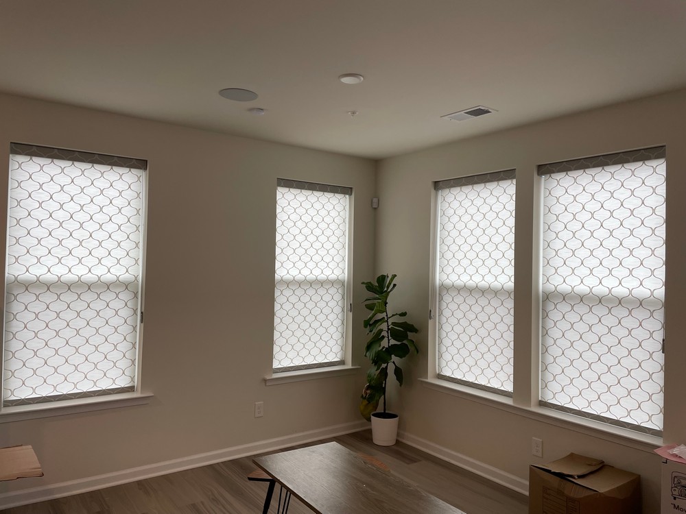 Hunter Douglas Decorative Cordless Roller Shades in Union, NJ