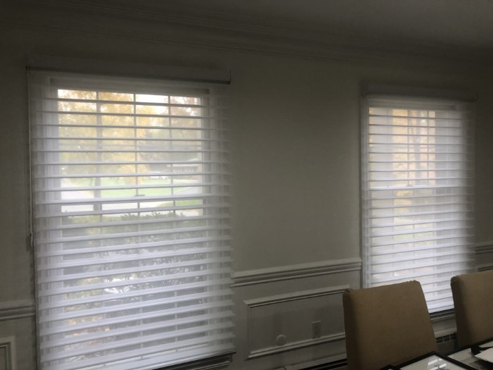 Hunter Douglas Nantucket Sheer Shades Upper Saddle River, NJ