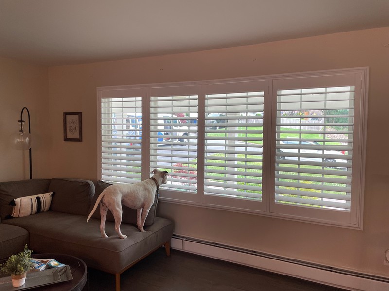 Hunter Douglas Plantation Shutters in Park Ridge, NJ