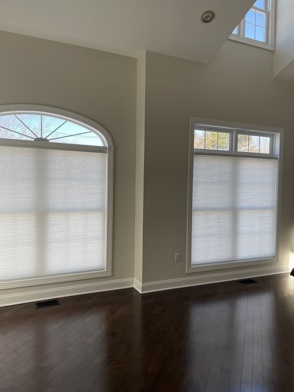 Hunter Douglas 3/4 Semi-Opaque Cordless Cellular Shades in Montvale NJ