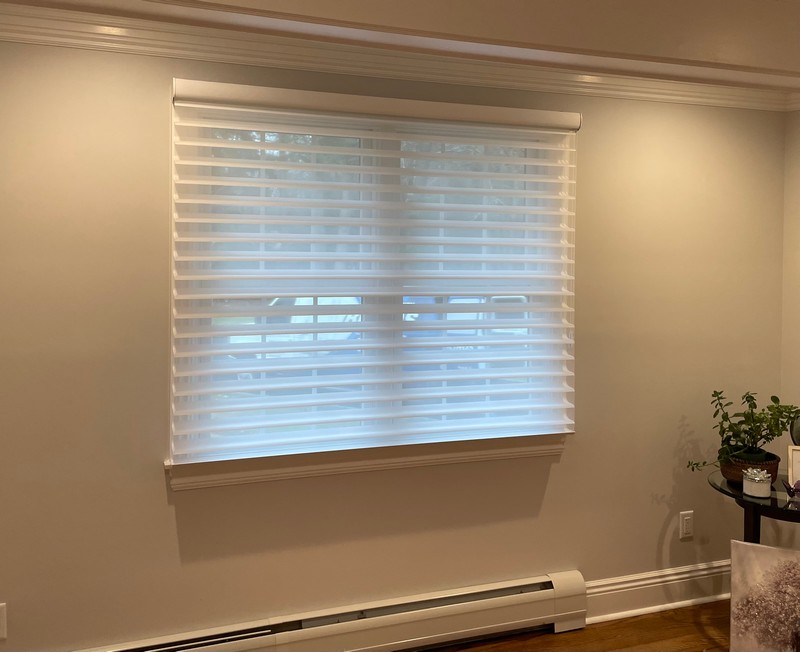 Hunter Douglas Silhouette Shades on a Window Frame in Ramsey, NJ