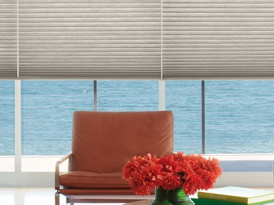 Chester Township Blinds