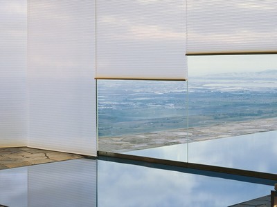 Westfield Blinds