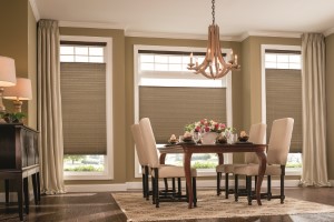 Chestnut Ridge blinds