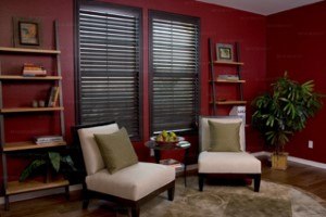 black blinds in the living room