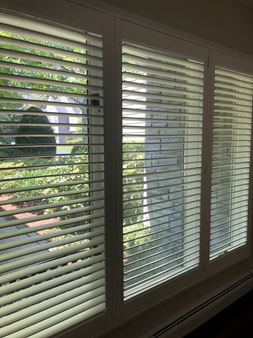 Hunter Douglas Luminettes and Hunter Douglas Interior Shutters Thumbnail