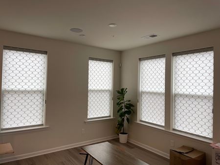 Wonderful Hunter Douglas Decorative Cordless Roller Shades in Union, NJ Thumbnail