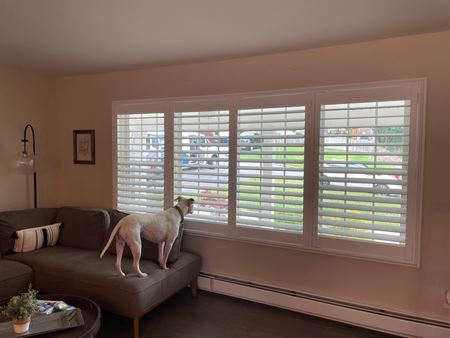 Hunter Douglas Plantation Shutters in Park Ridge, NJ Thumbnail