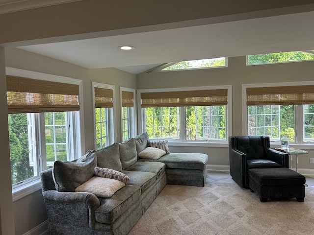 Hunter douglas provenance cordless woven wood shades ridgewood nj